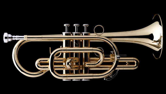 High school band brass instruments