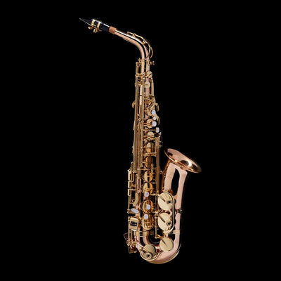 Beginner's guide: how to play tenor saxophone