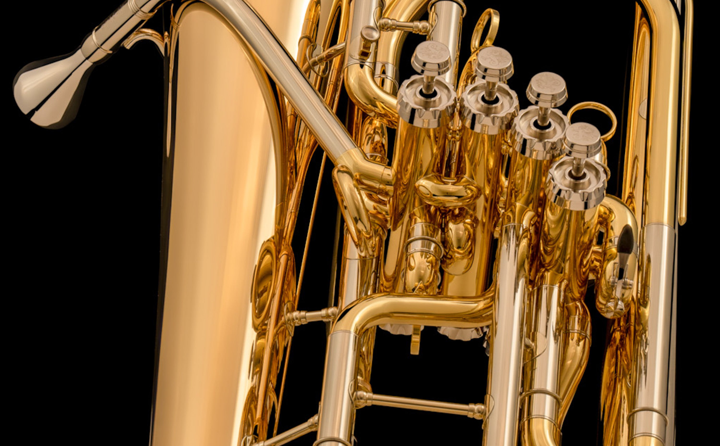 Re:VIBRATION【YELLOW BRASS】for Euphonium Amazon.com: Bb Euphonium Brass Instrument for Beginners