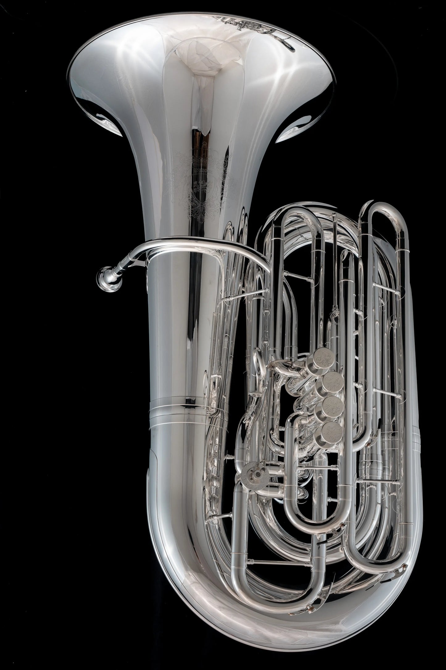 Tuba de 5/4 pistones CC 'Wyvern' – TC590P