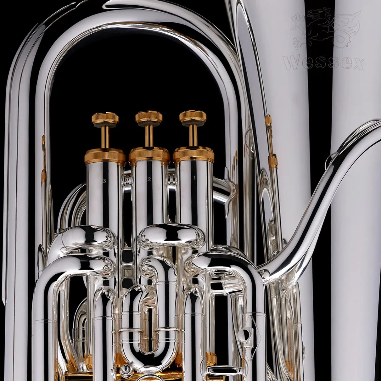 Close up shot of the EP100 Dolce Euphonium with Gold Valves in place