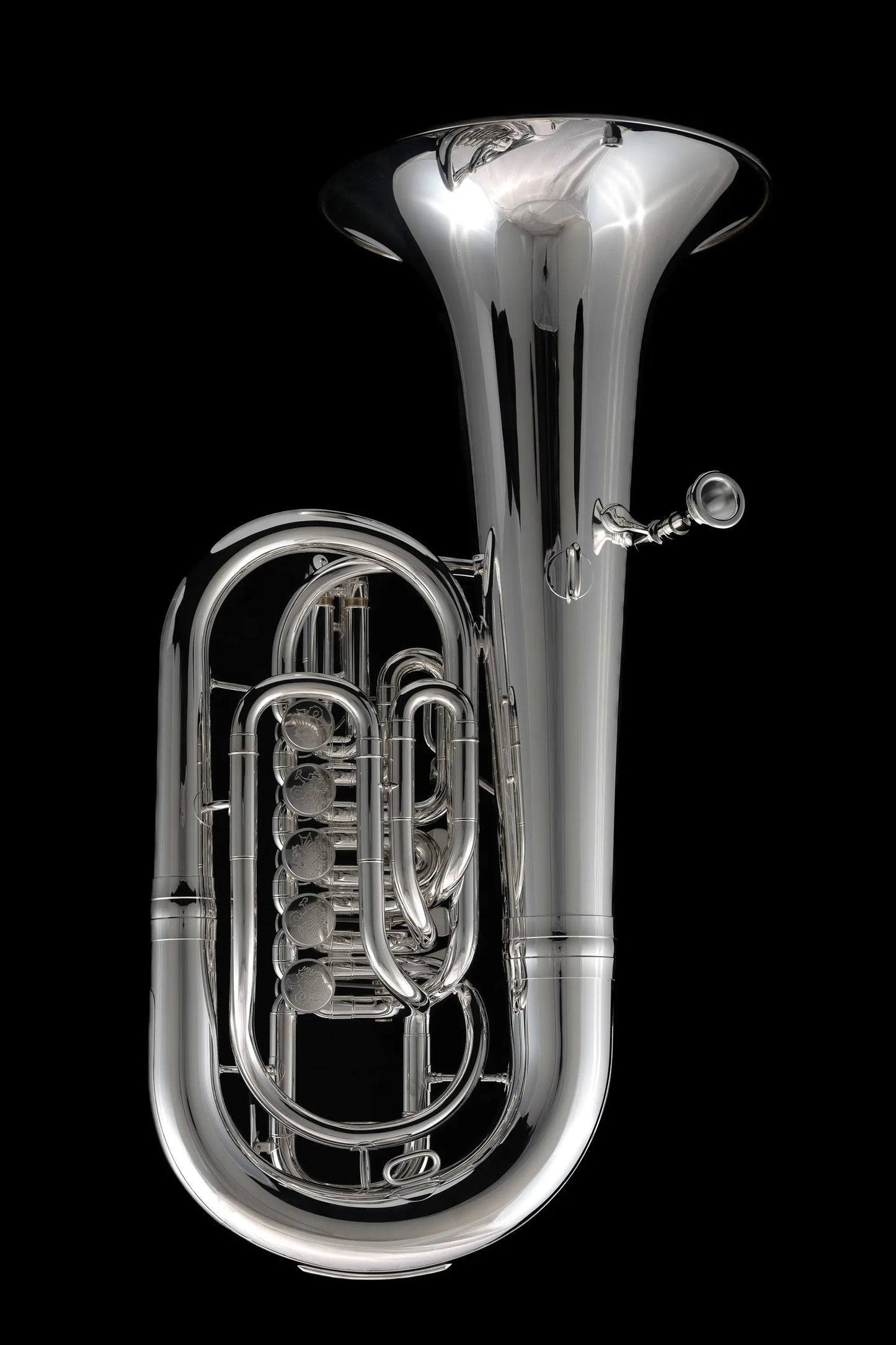 Tuba tenor rotatoria en si bemol (barítono/bombardino) - ER700