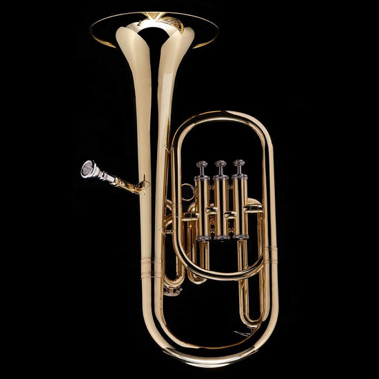 Eb Tenor/Alto Horn (student) – AH13