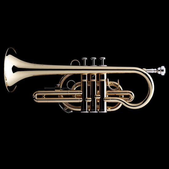 An image of a Bb Cornet from Wessex Tubas, facing left | Student cornet