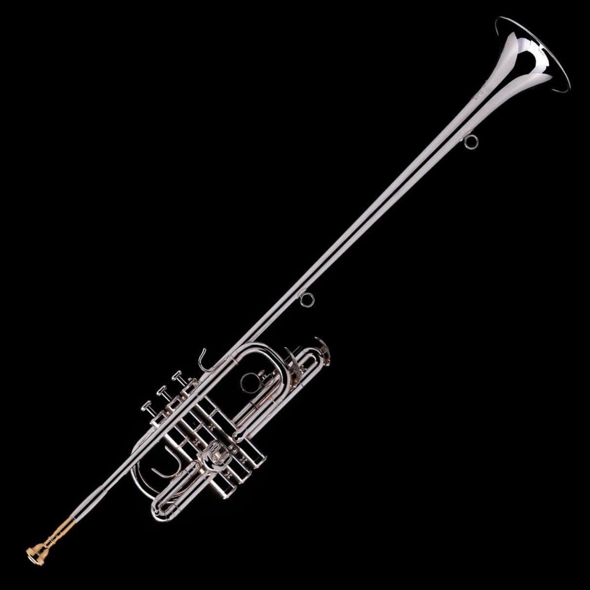 Melody Fanfare Trumpet – R130 – Wessex Tubas
