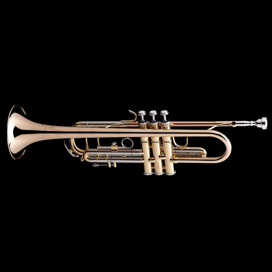 An image of a Bb Professional Trumpet from Wessex Tubas
