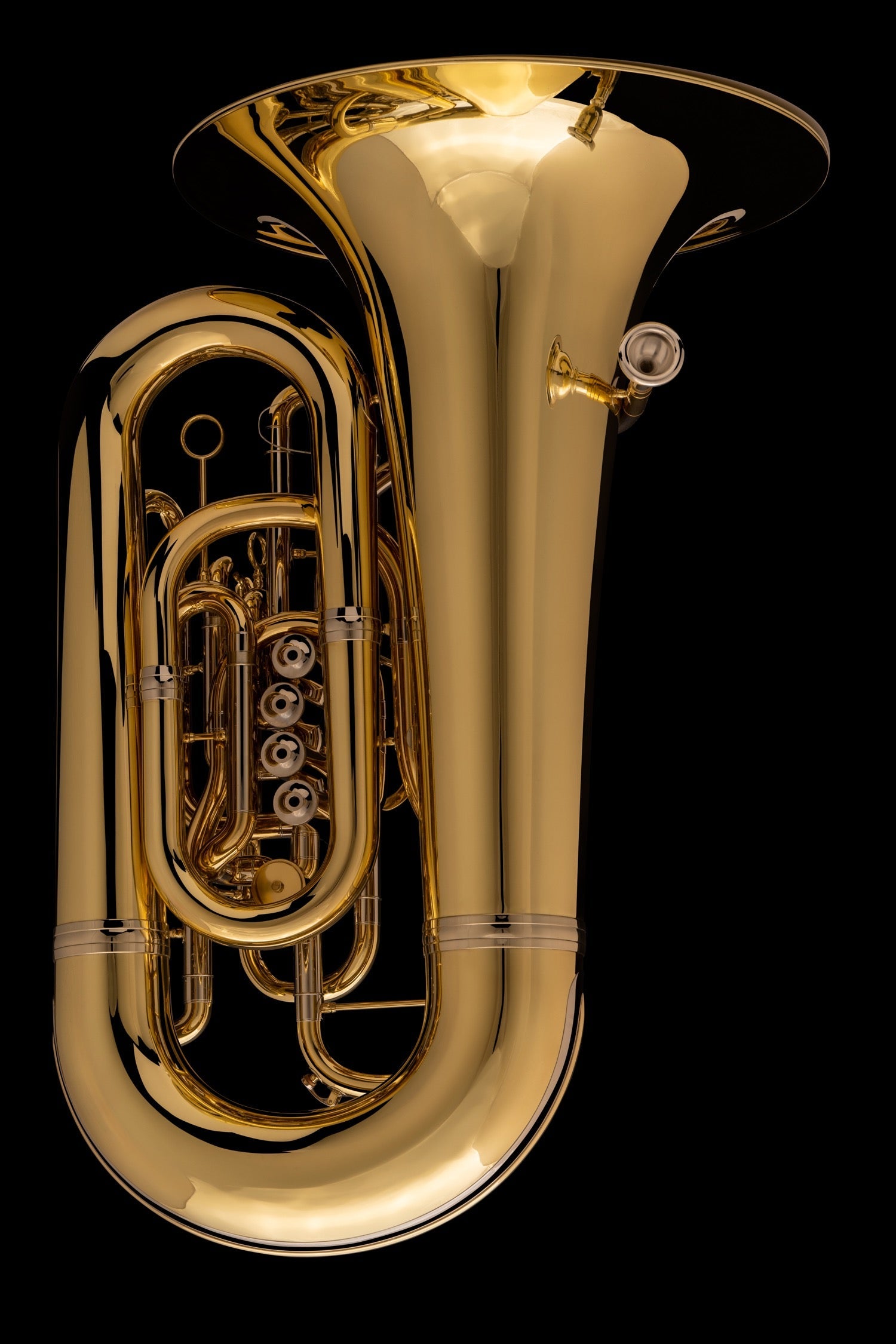 6/4 Eb Tuba 'Tubby' - TE665HP – Wessex Tubas