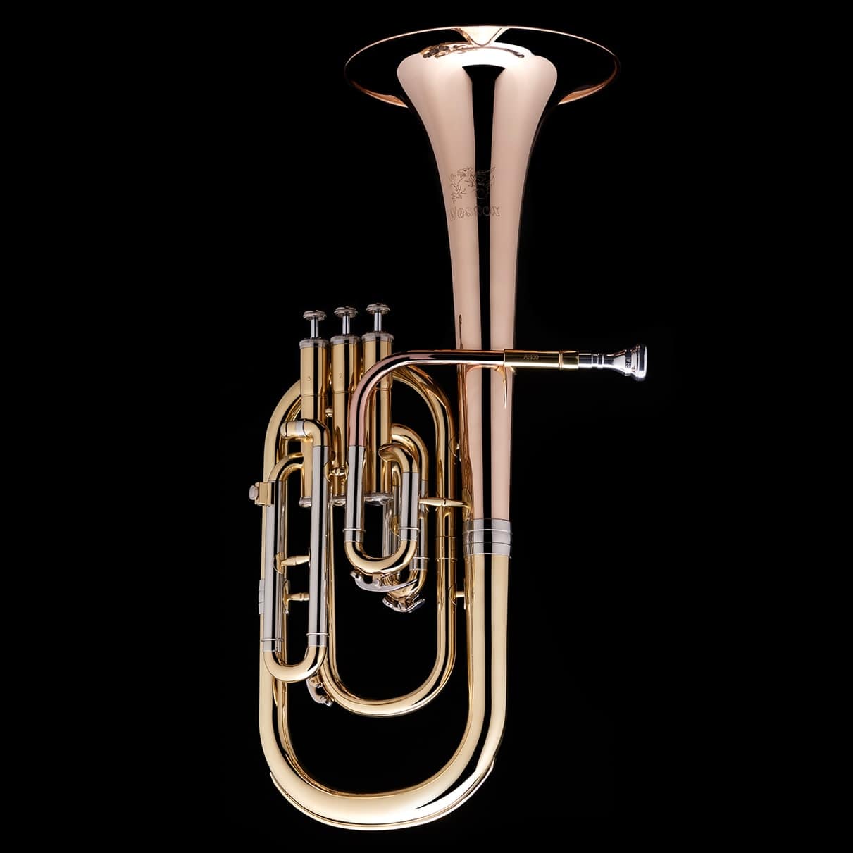 An image of a Eb Tenor/Alto Horn from Wessex Tubas in silver and gold