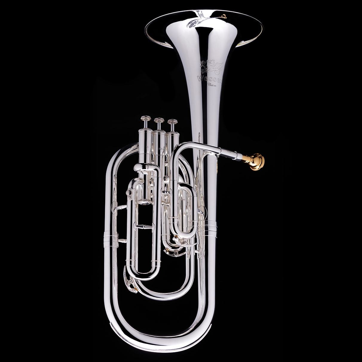 An alternative image of a Eb Tenor/Alto Horn from Wessex Tubas