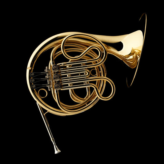 F French Horn (student) – FH20