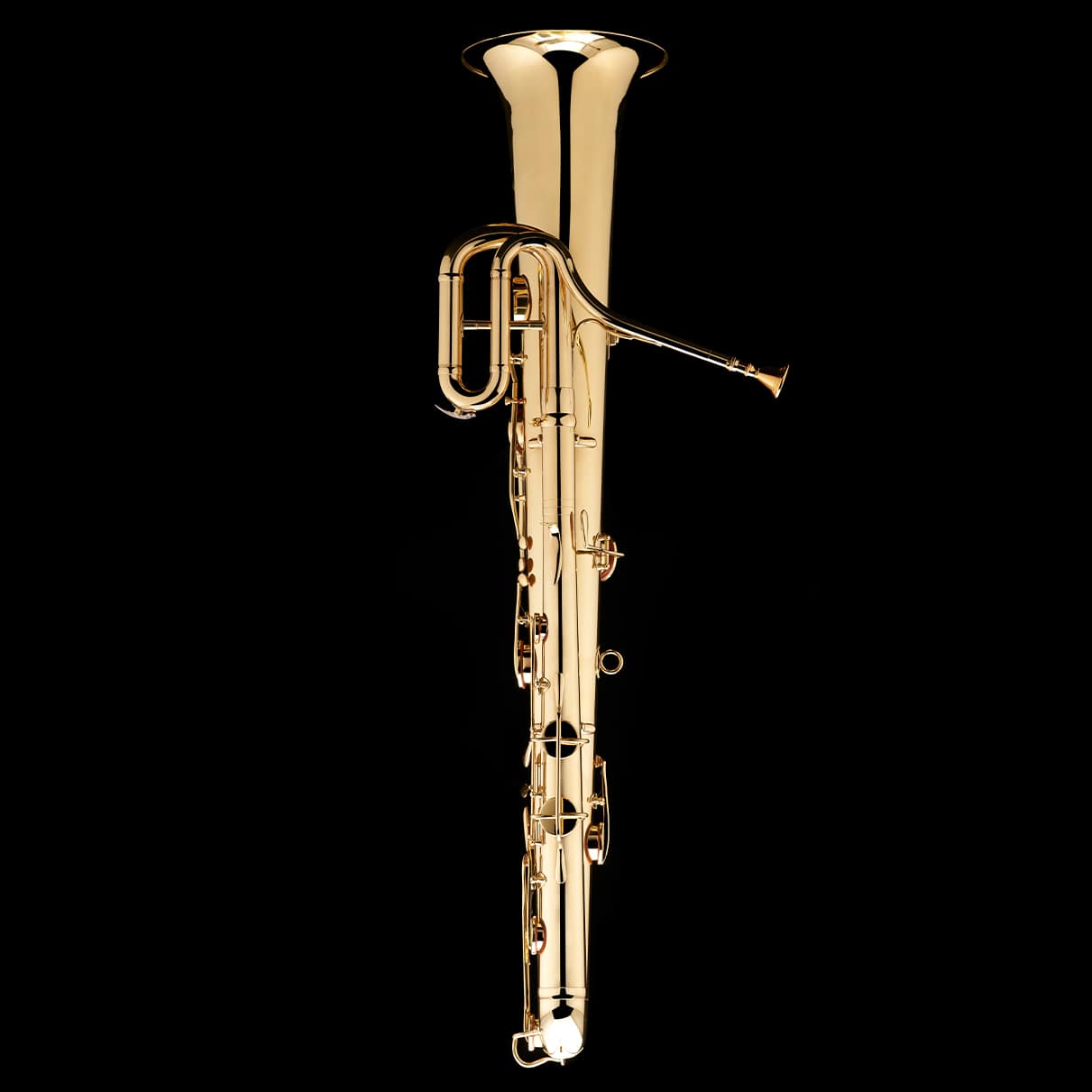 An image of the back of a Bb Ophicleide from Wessex Tubas