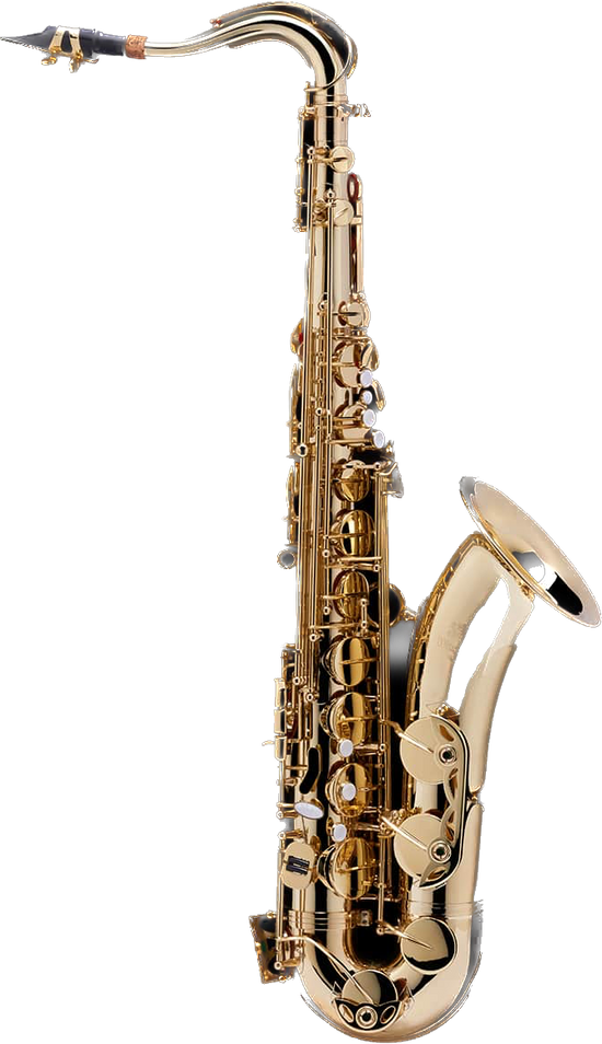 Saxofón Tenor – SAX100