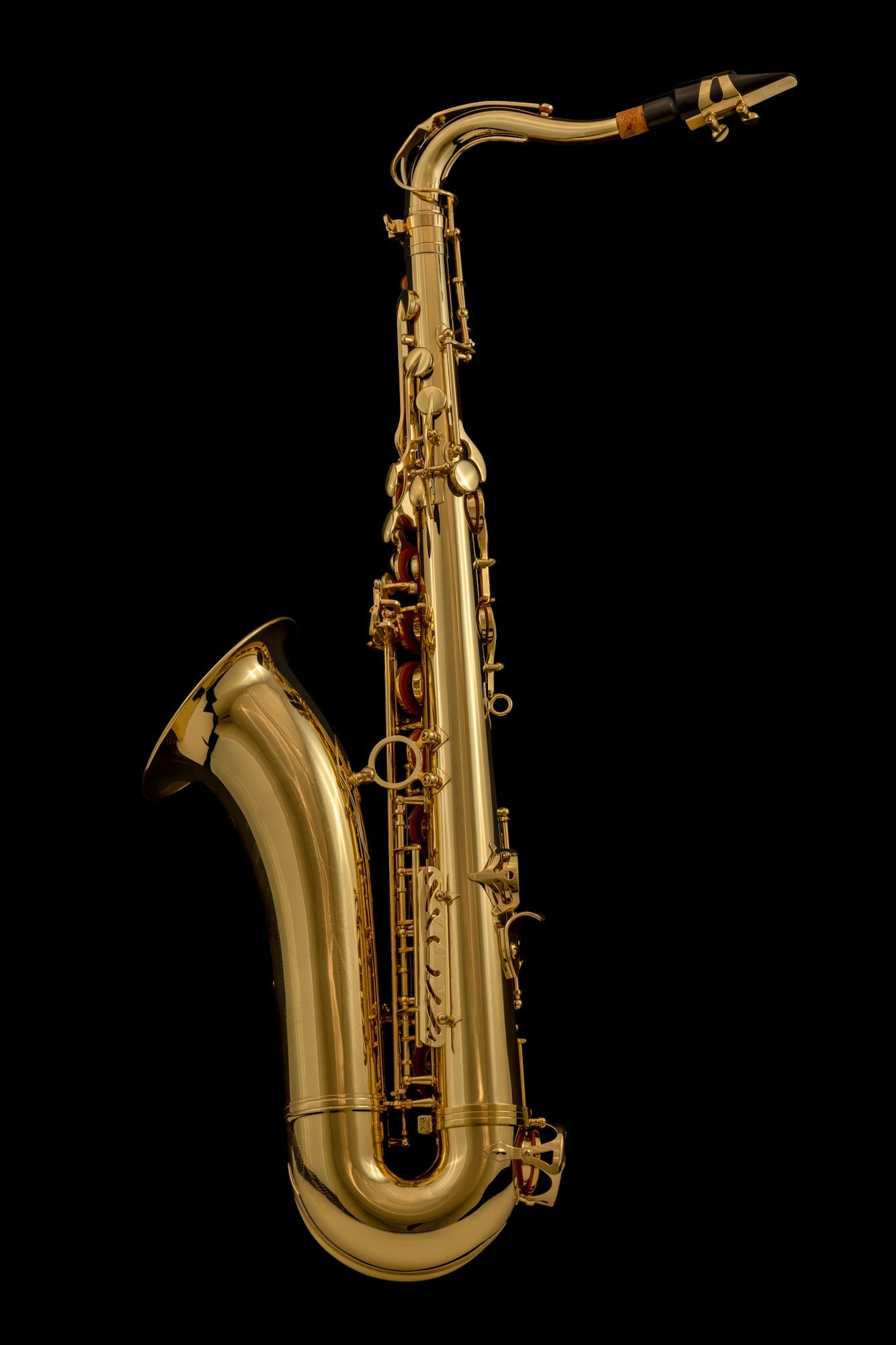 Tenor Saxophone – SAX100