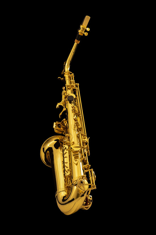 alto saxophone for sale | Wessex Tubas