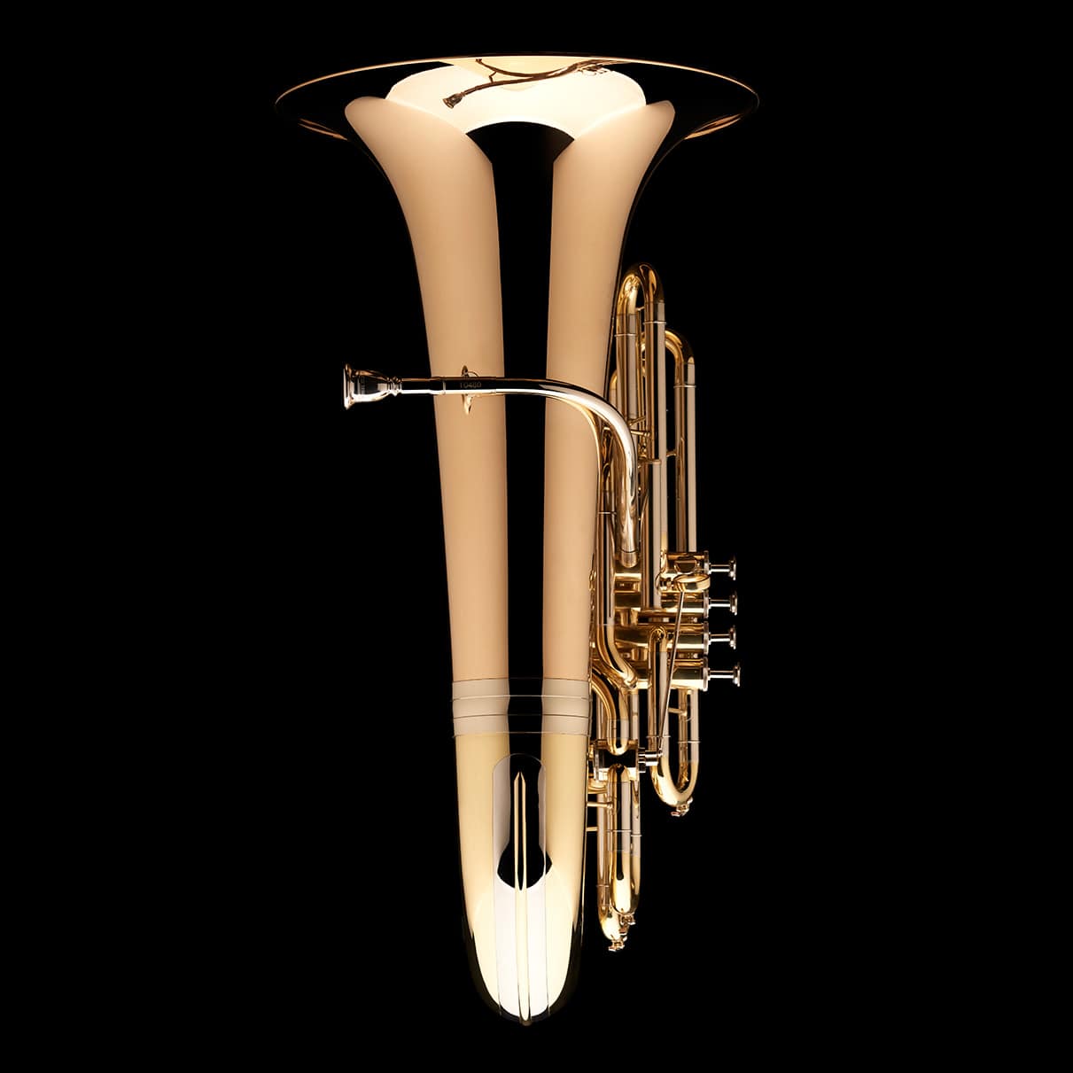 An image of the front of a BBb 4/4 Tuba with 5-valves 'Viverna' from Wessex Tubas