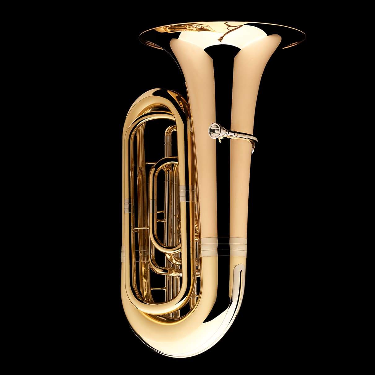 A side image of a BBb 4/4 Tuba with 5-valves 'Viverna' from Wessex Tubas