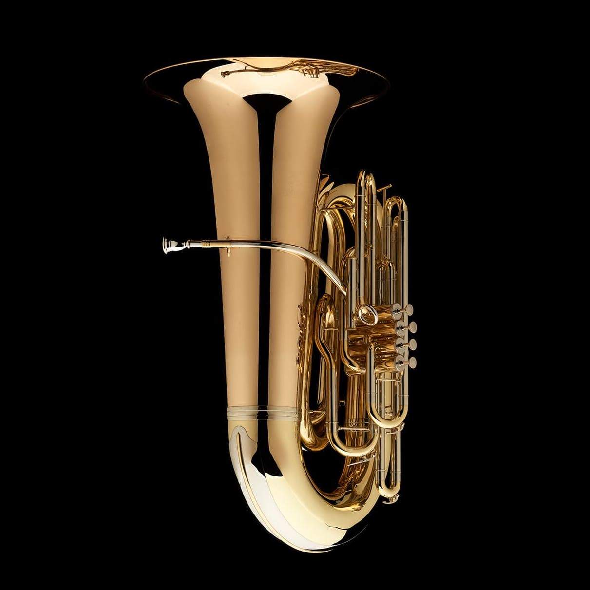 An image of the back of a BBb 6/4 Front-Piston Tuba "Grand" from Wessex Tubas