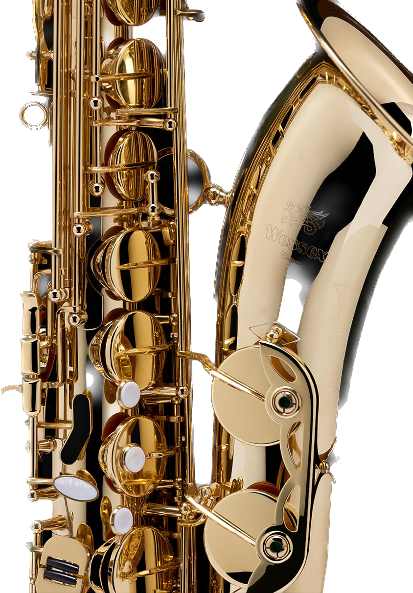Tenor Saxophone – SAX100